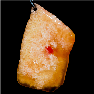 Formation Regenerations Osseuses Guidees IFIP (4)